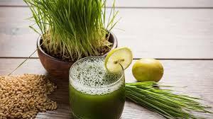 Wheatgrass powder Wheatgrass powder