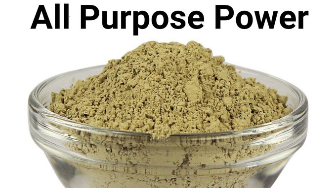 pumpkin seed protein powder3 pumpkin seed protein powder3