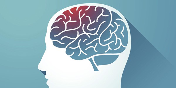 brain health brain health