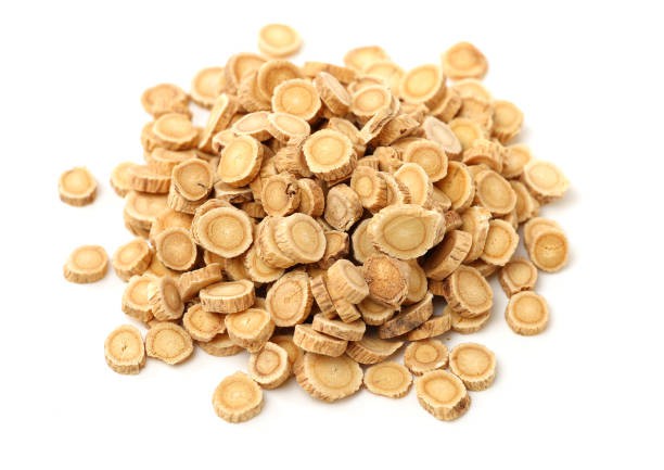 Astragalus Root Astragalus Root