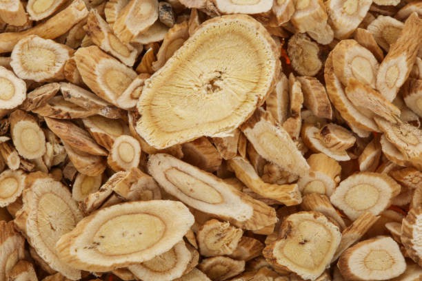 Astragalus Root Astragalus Root
